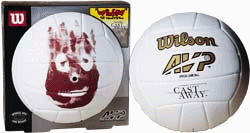 [Wilson volleyball]