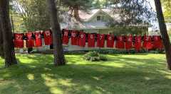 [Abacus Jerseys, click to enlarge]