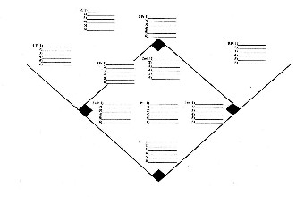 [Fielding Chart #1]